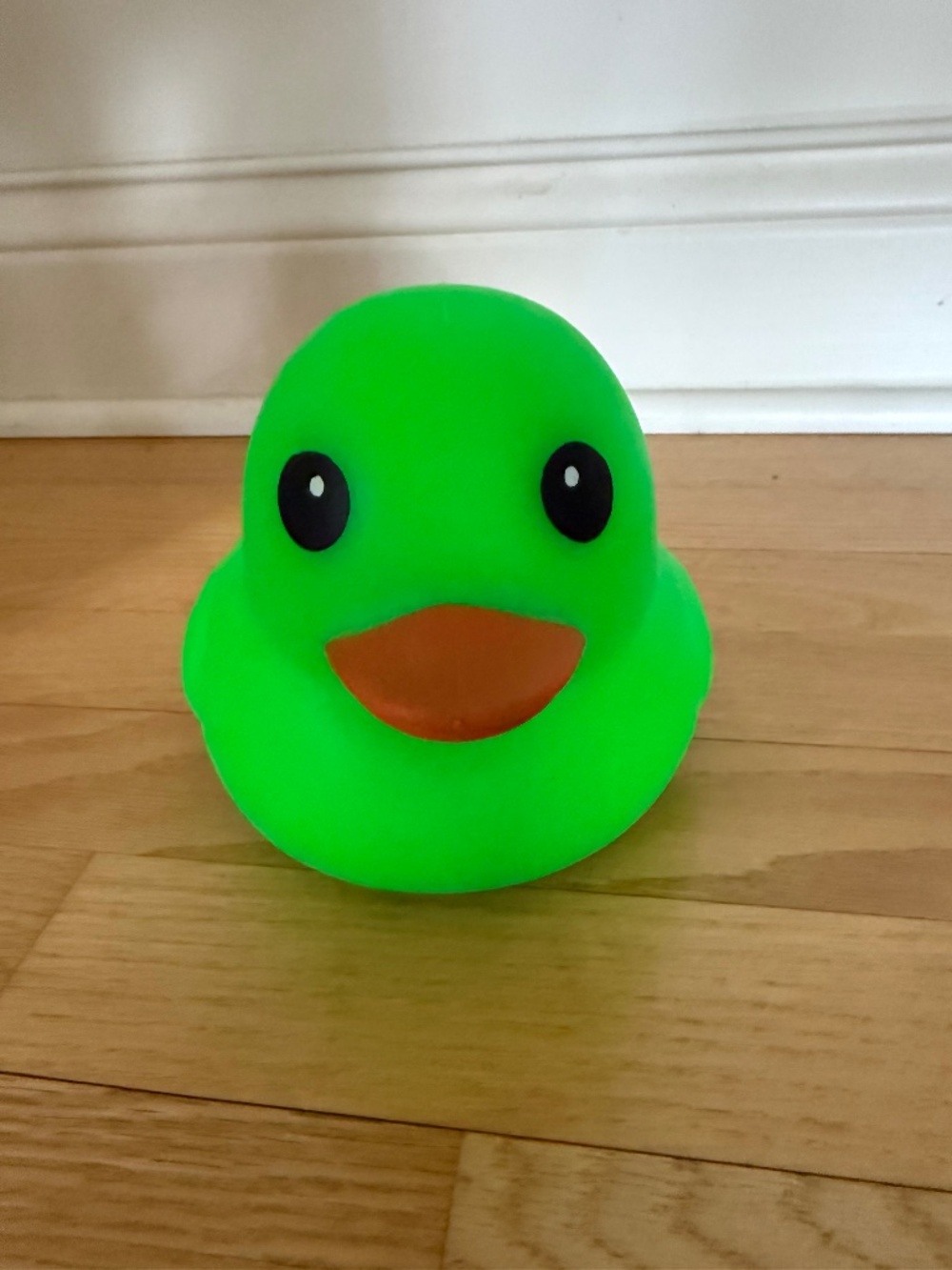 Viral Trending NEW Laffy Quacks Jumbo Squishy/Squeeze Duck - Green